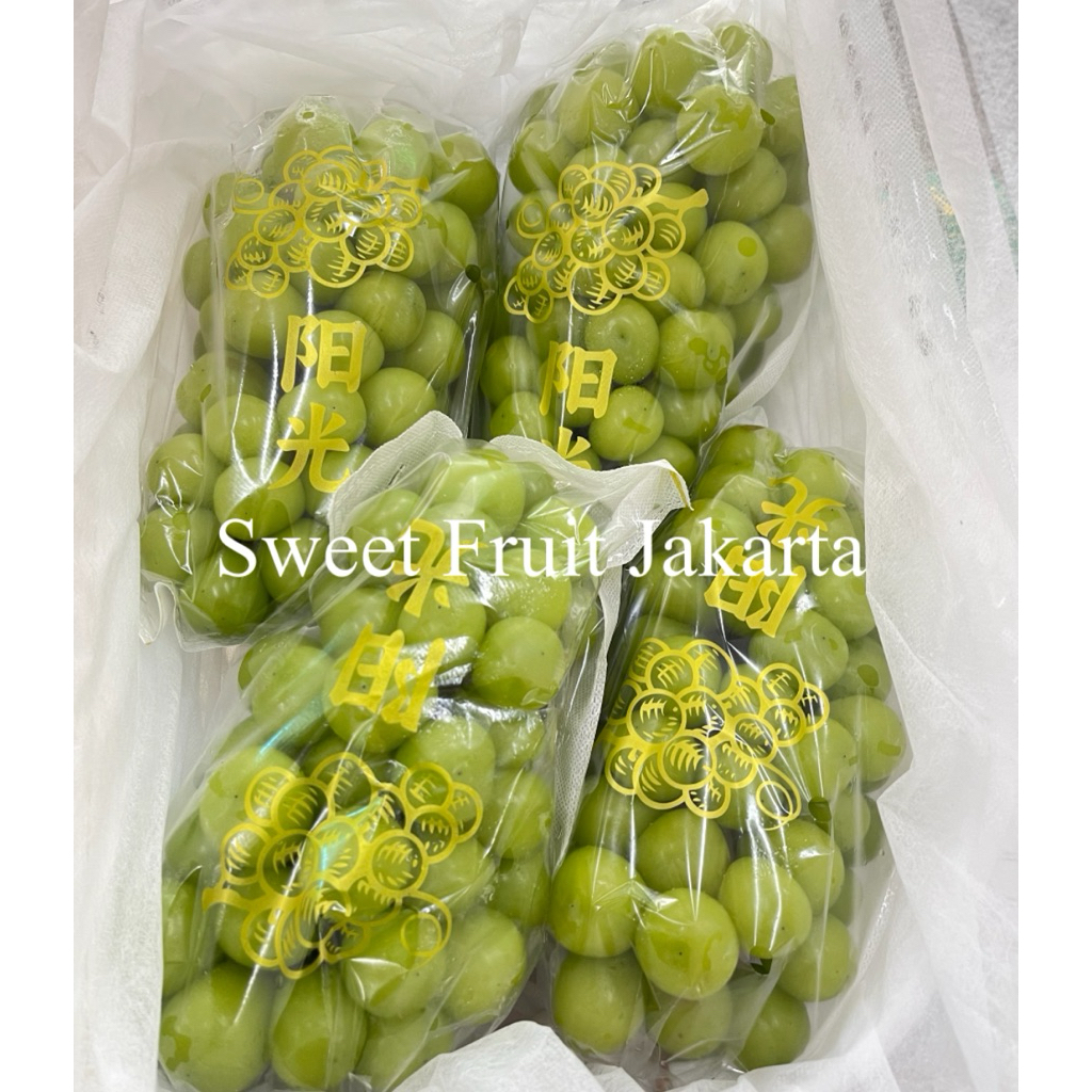 Anggur Shine Muscat Super Fresh / Anggur Muscat Hijau 5kg / Box