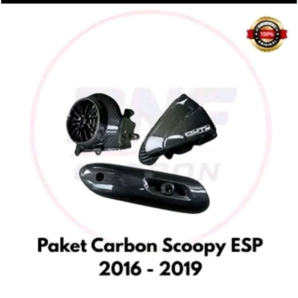 paketan carbon scoopy esp 2016-2019