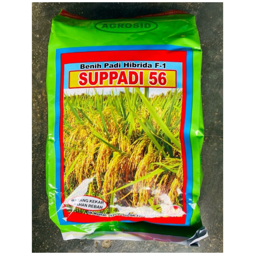 Bibit Benih Padi Hibrida F1 Supadi 56 1kg - Original