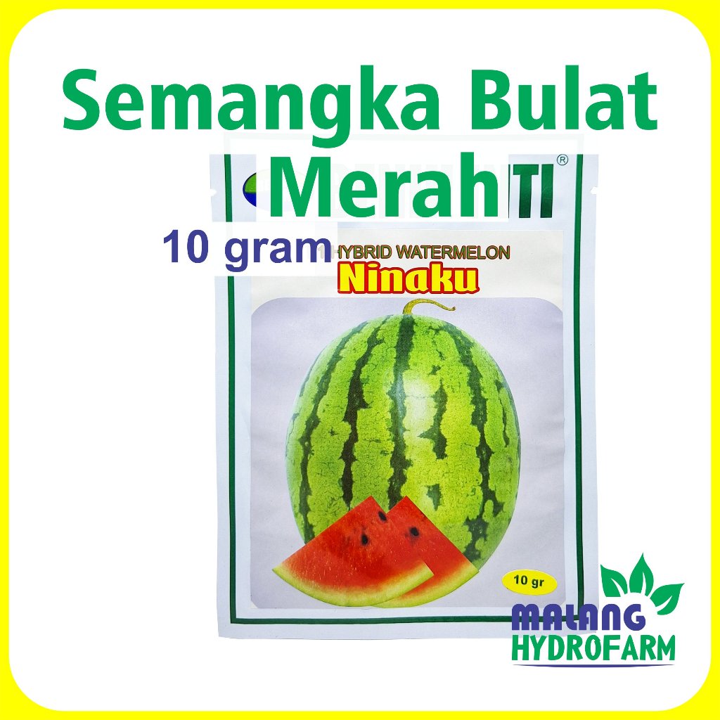 Benih Semangka Bulat Merah Ninaku F1 10 gram Benih Inti bibit biji unggulan hybrid watermelon buah o