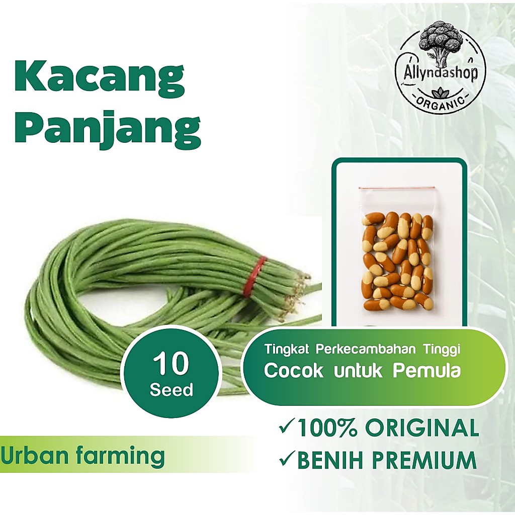 Bibit Benih  Kacang Panjang F1 Sayuran Unggul