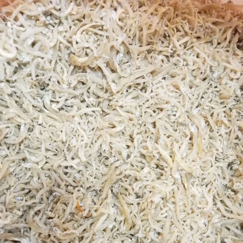 bilis nasi tanjung pinang