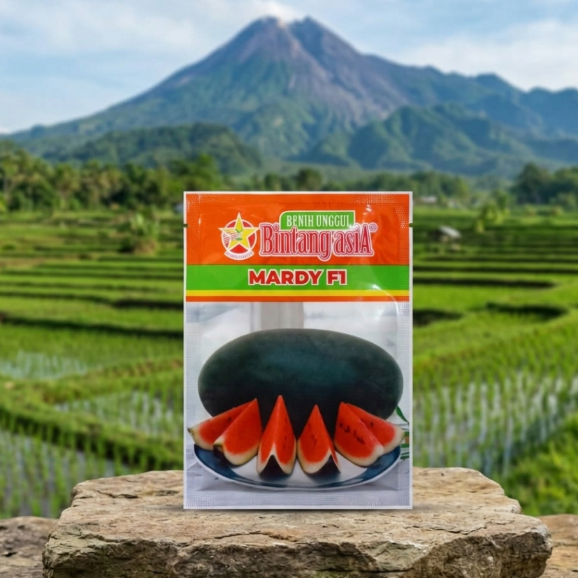Benih Semangka Mardy F1/ Inul Merah Mardy EXP 07 2027