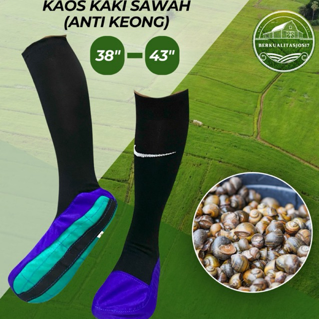 Kaos kaki sawah, ALAS TEBAL WARING, Kaos kaki sawah anti keong, Kaos kaki tebal, Kaos kaki sawah, Ka