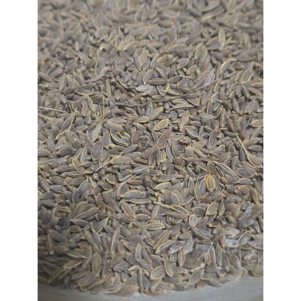 Adas Pedas / Fennel seeds