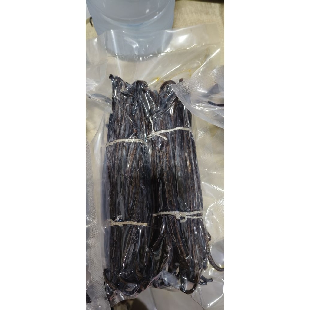 vanilla beans/ biji vanilla kualitas ekspor