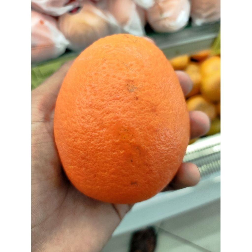 buah jeruk Sunkist navel RRC jeruk Sunkist 1kg