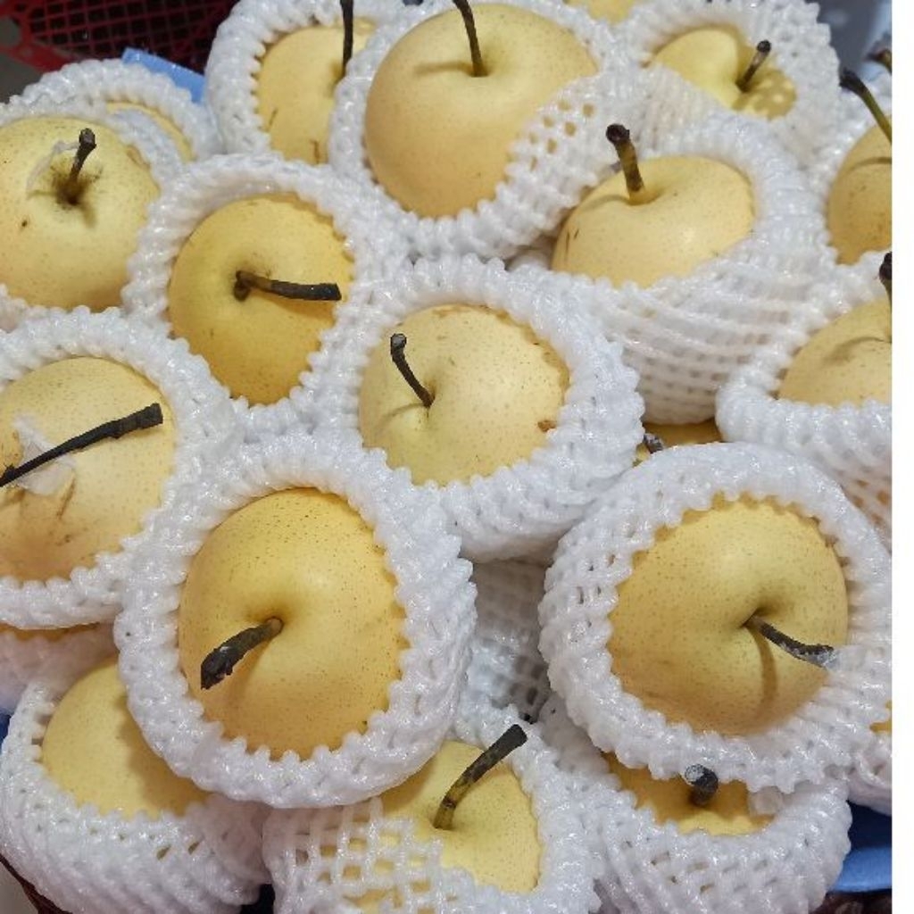 [PREMIUM] Buah Pir Century Pear Crown Fresh 1Kg