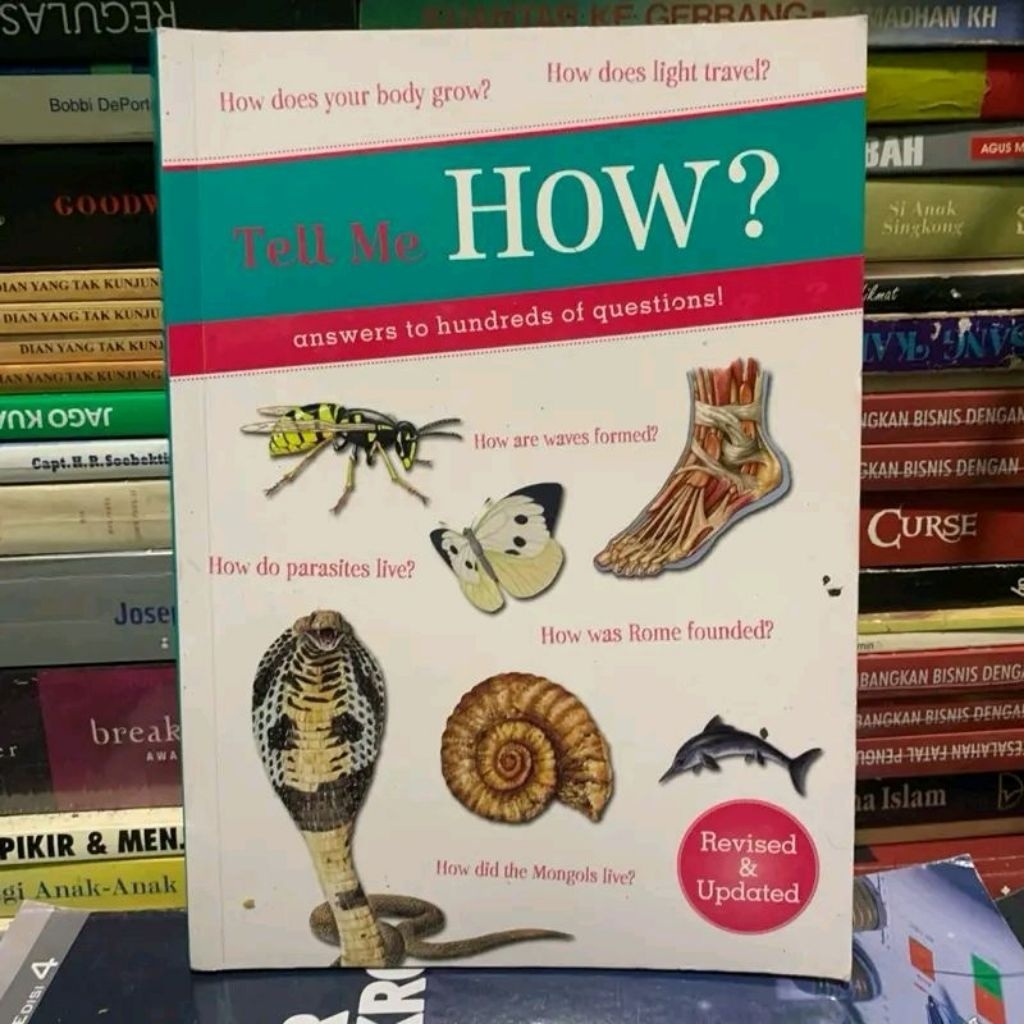 Tell me how answers to hundreds of questions ORIGINAL
