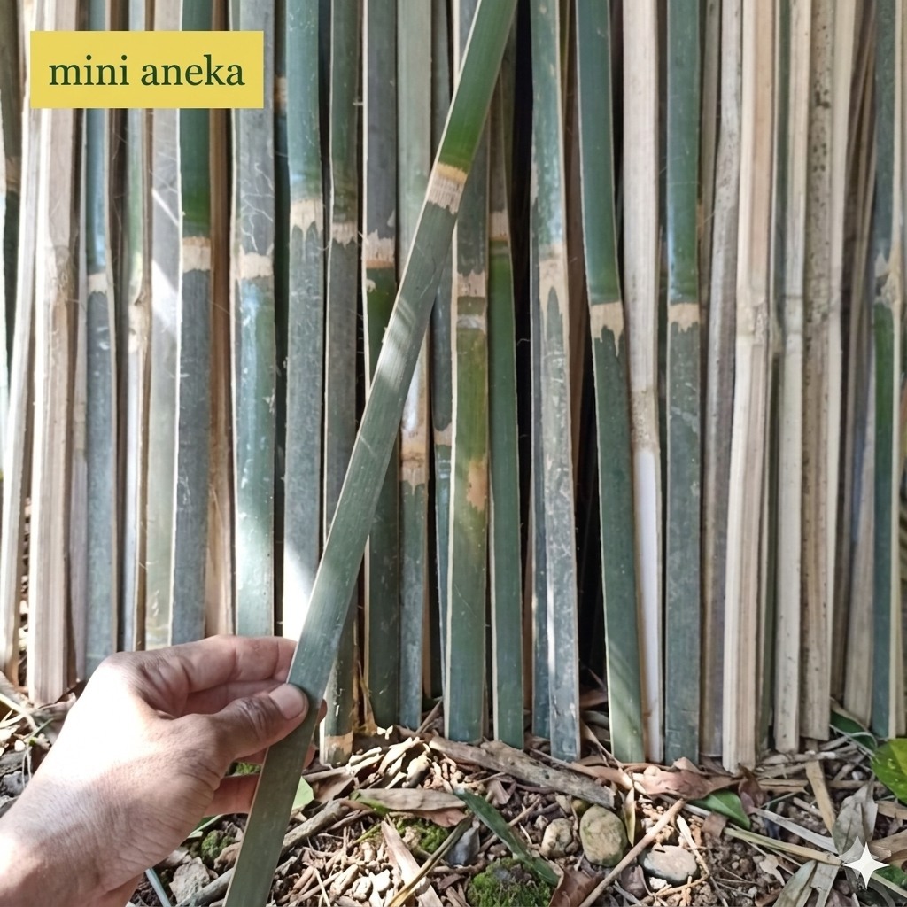 Bambu Bilah / Ajir Turus Penyangga Tanaman Bilah Bambu / Bilahan Bambu Serba Guna