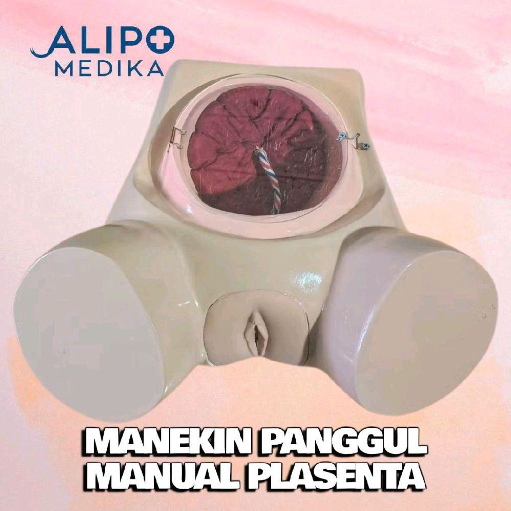 PHANTOM MANEKIN PANGGUL MANUAL PLASENTA / MANIKIN MANUAL PANGGUL PLASENTA