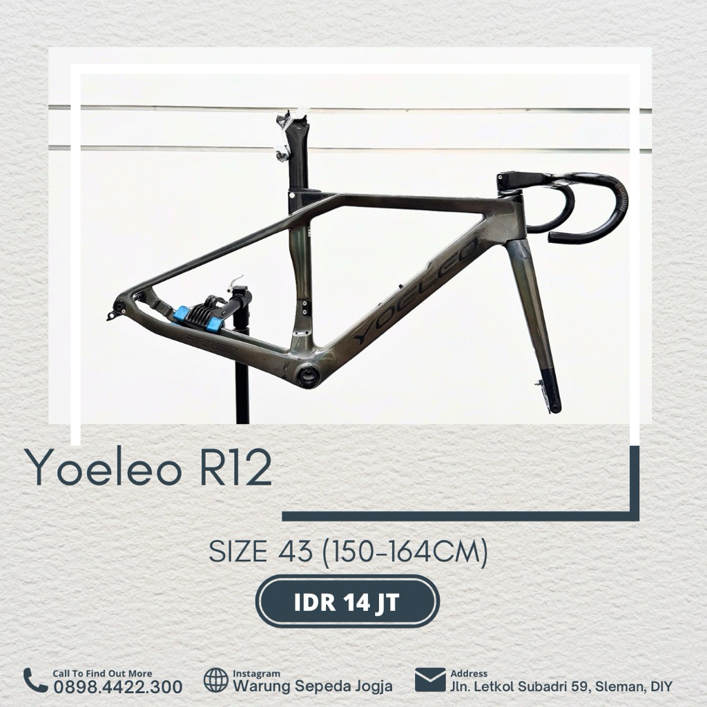 yoeleo r12 frame roadbike discbrake