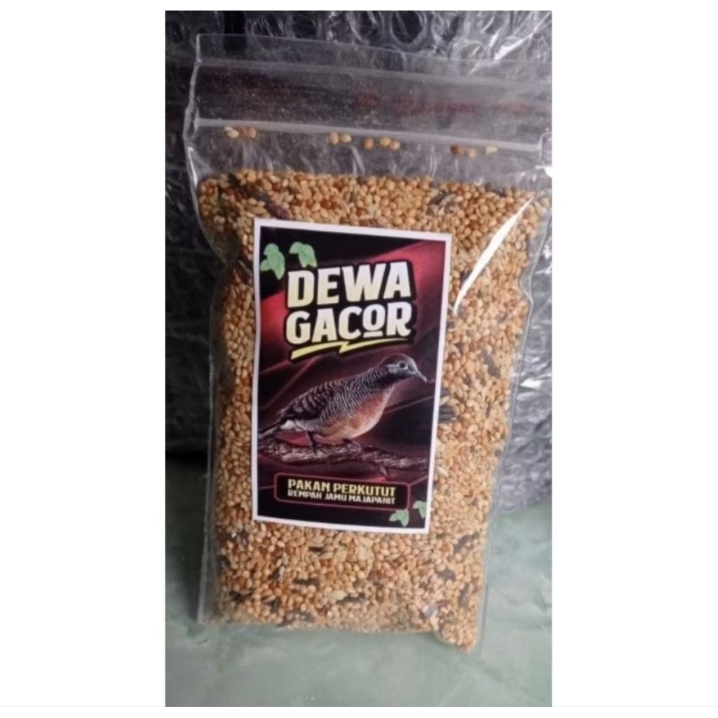 PAKAN PERKUTUT DEWA GACOR PAKAN PERKUTUT GACOR PAKAN PERKUTUT JAHAT PAKAN PERKUTUT GACOR MANGGUNG