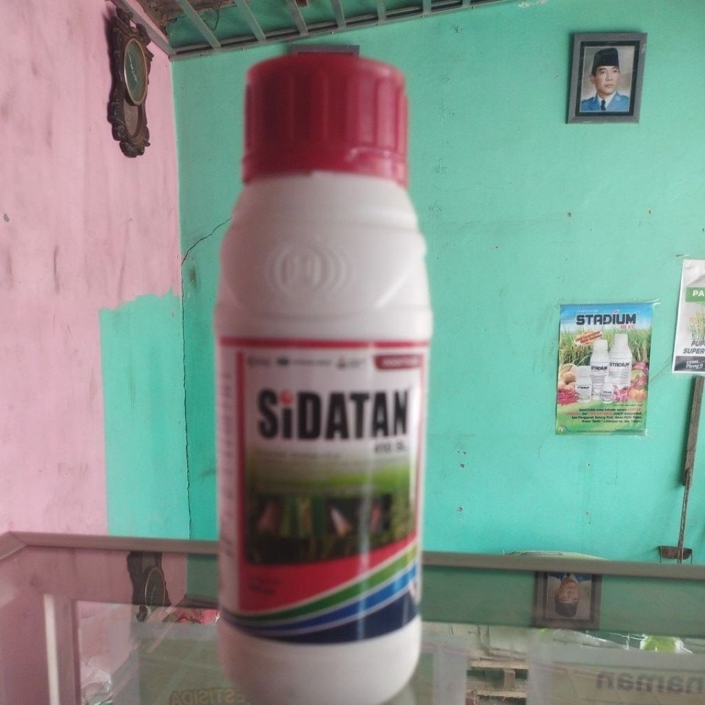SIdatan410sl