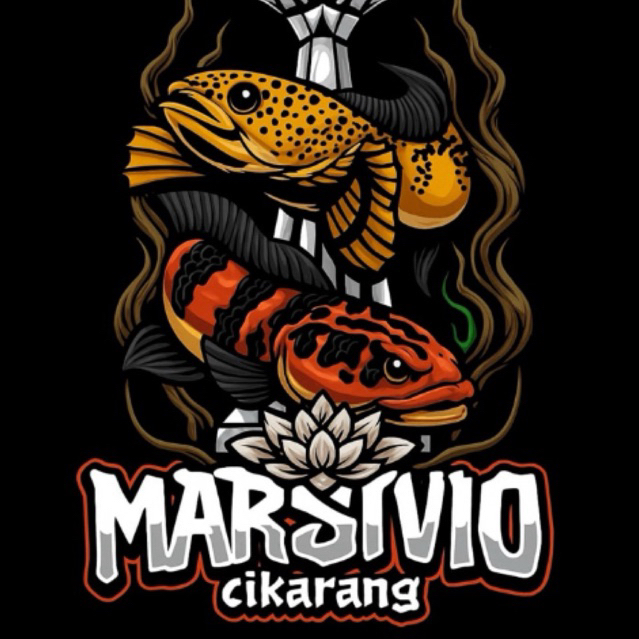 AIR KETAPANG psudo marulius