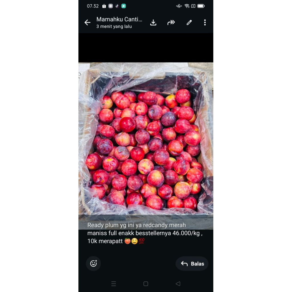buah plum merah