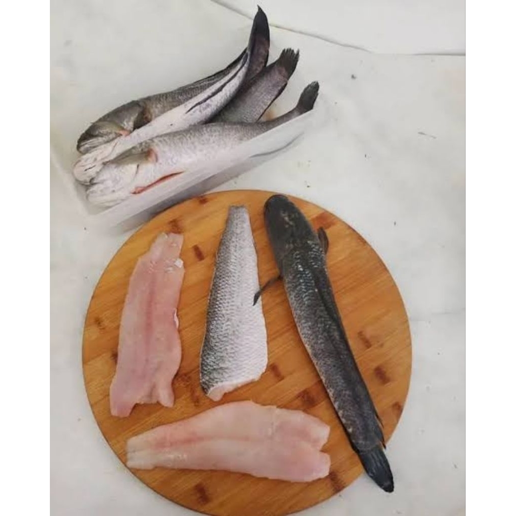 Ikan Gabus Fillet Frozen siap masak