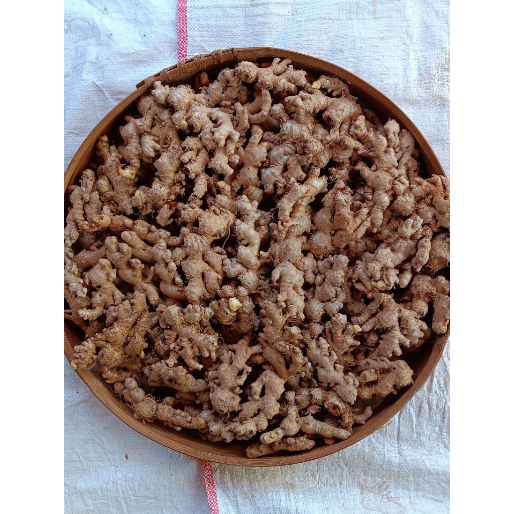 Jahe segar 1kg
