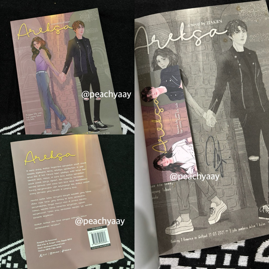 wts preloved novel areksa 100% original