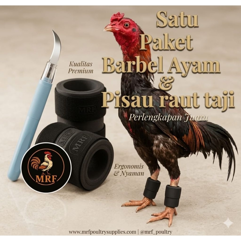 Barbel Ayam Bangkok 500 gram+Pisau Raut Taji Termurah