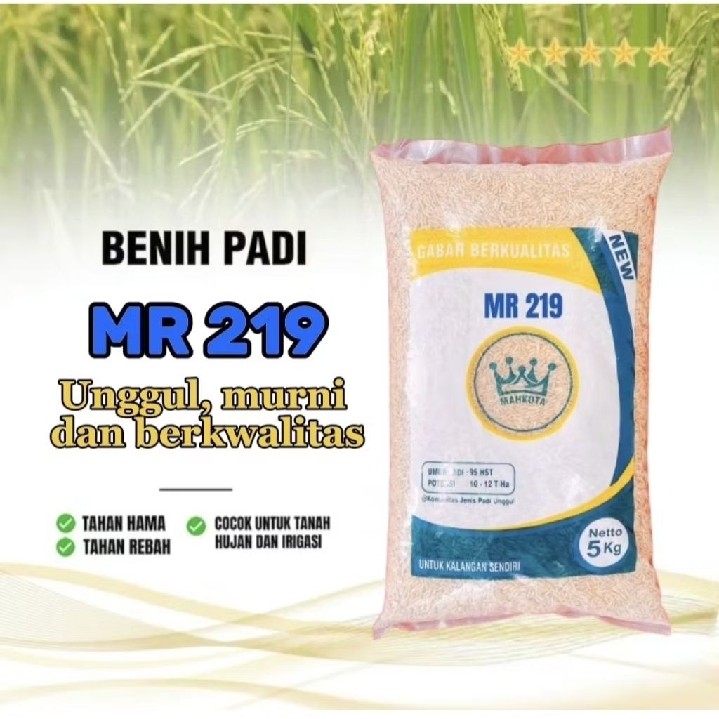 Padi MR-219 Mahkota 5 Kg MR 219 MR219