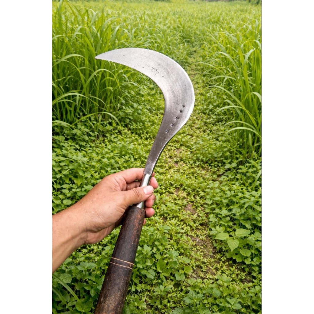 alat perkebunan sabit bintang lima sabit baja asli