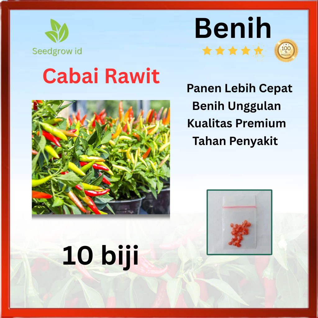 Benih Cabai Rawit Unggul Super Pedas | ori cabai rawit