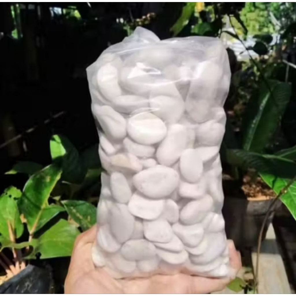 batu koral putih 1kg batu koral