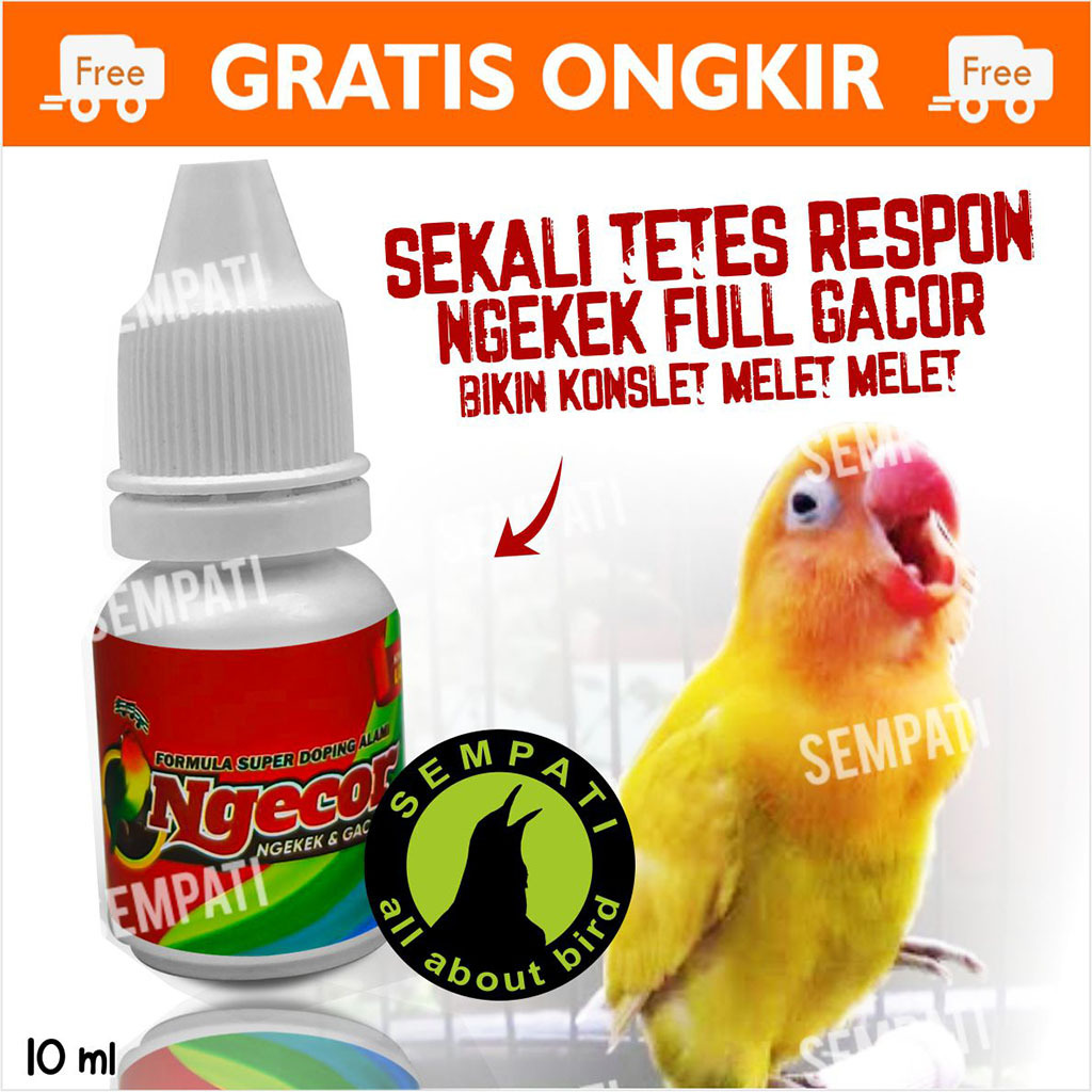 SEMPATI NGECOR POWER GACOR BIOJANNA DOPING BURUNG LOVEBIRD|DOPING BURUNG LOMBA|NGEKEK|NGECOR DOPING 