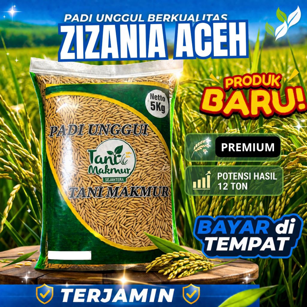 BENIH PADI UNGGUL ACEH BENIH PADI ZIZANIA ACEH 5KG BERKUALITAS