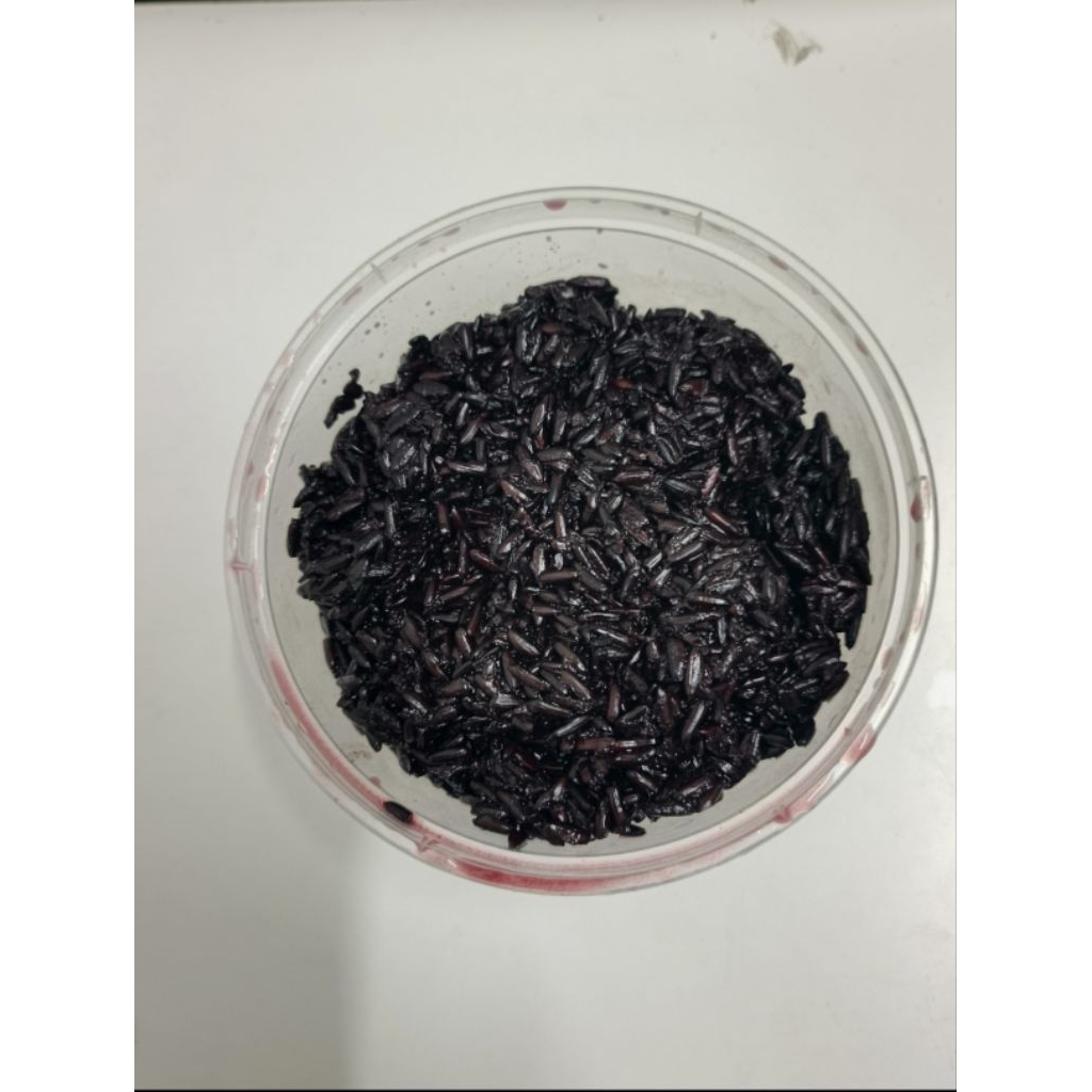 Tape/Peyeum Manis fres "Ketan Hitam/Putih" oleh-oleh khas Bandung Asli