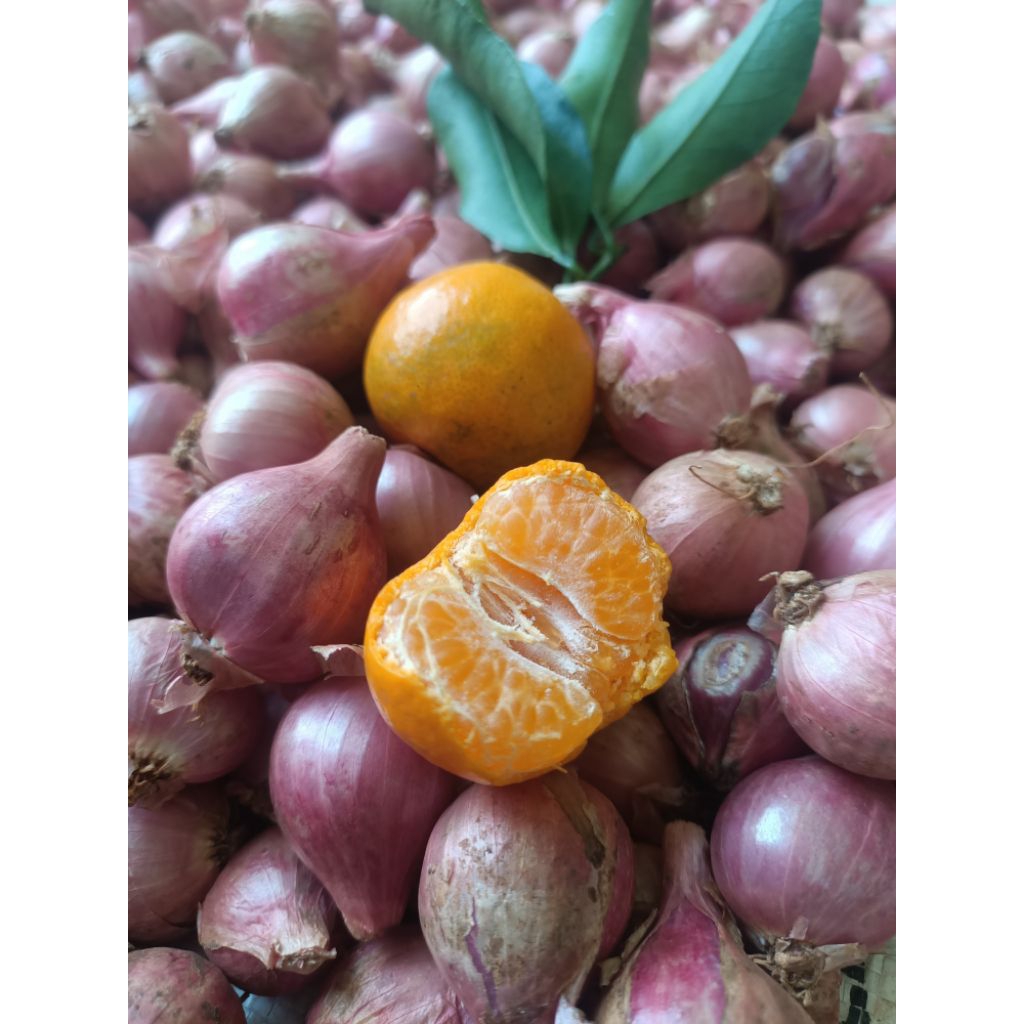Bawang merah lokal BESAR