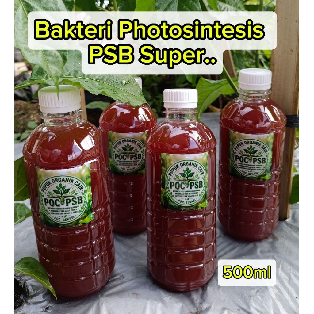 POC PSB Bakteri Photosintetic 500ML || Biang PSB || Pupuk Organik Cair Booster || POC Psb
