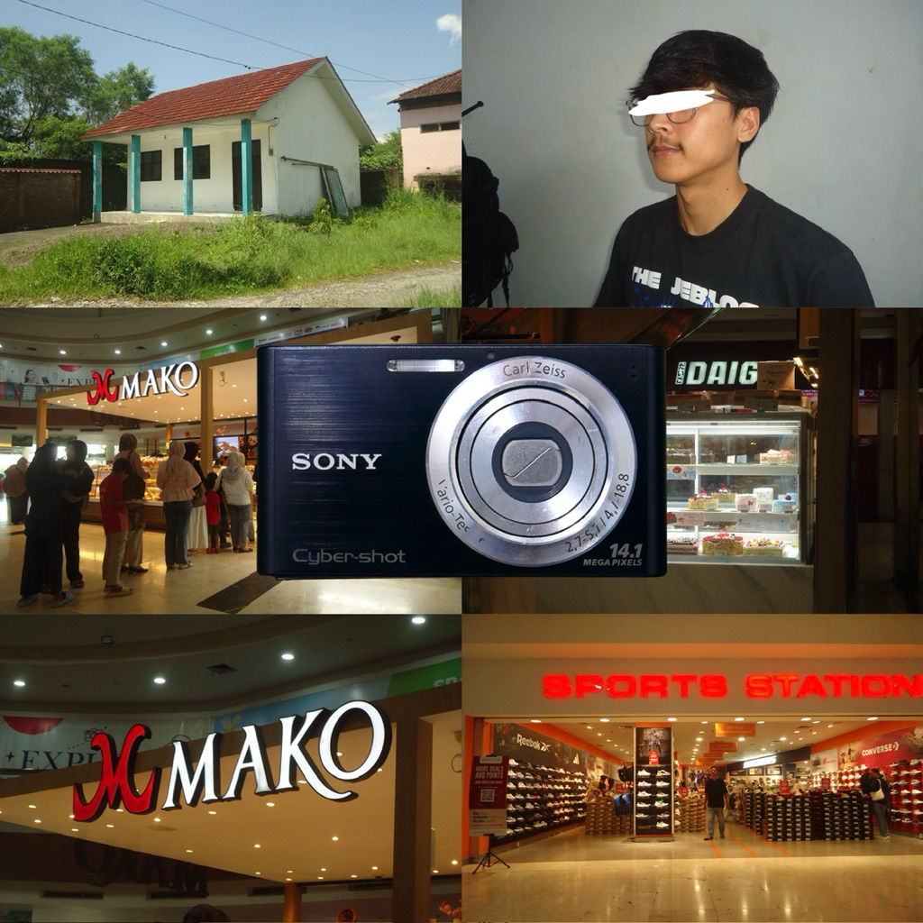 sony cybershot dsc-w320 digicam