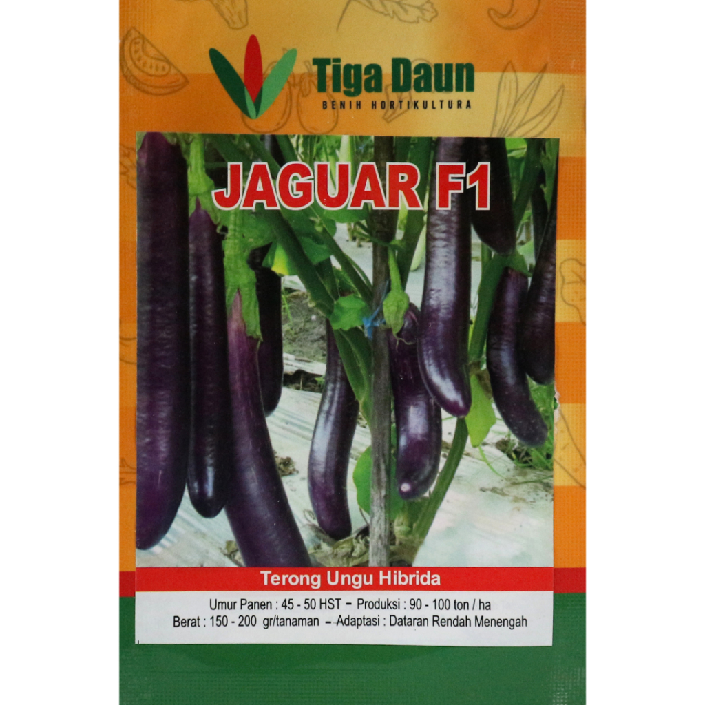 Terong Ungu F1 Jaguar Benih Terung Panjang Ungu Hibrida 5gr, 10gr dan 20gr