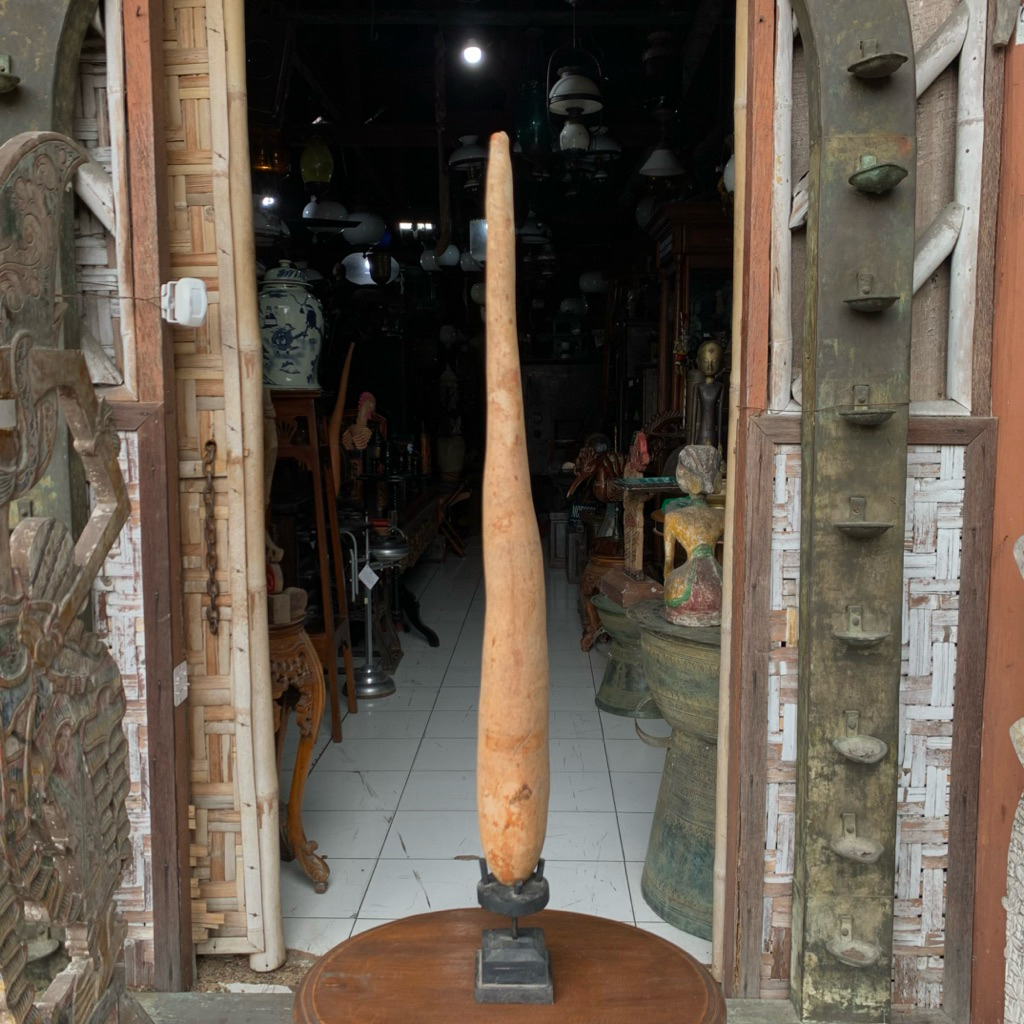 Koteka Papua Berbahan Labu Panjang Lurus Lawas Jadul Tua