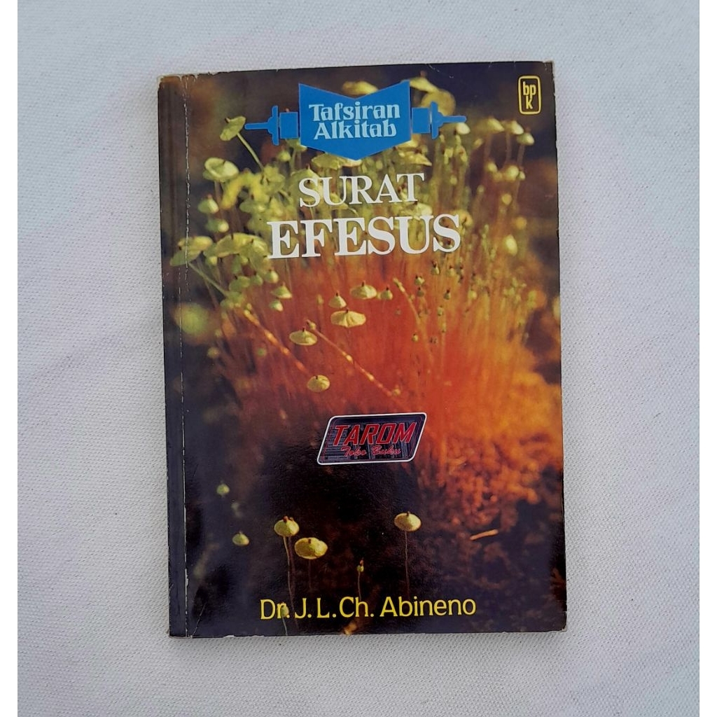 (Tafsiran Alkitab) SURAT EFESUS : Dr. J.L. Ch. Abineno