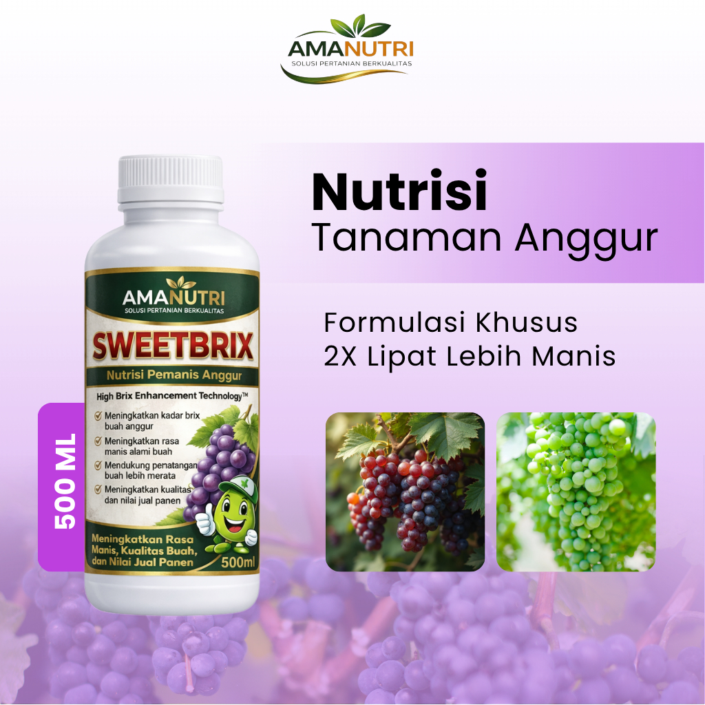 SweetBrix 500ml - Nutrisi Pemanis Anggur Alami | Booster Gula Brix Tinggi | Pupuk Cair Buah Padat & 