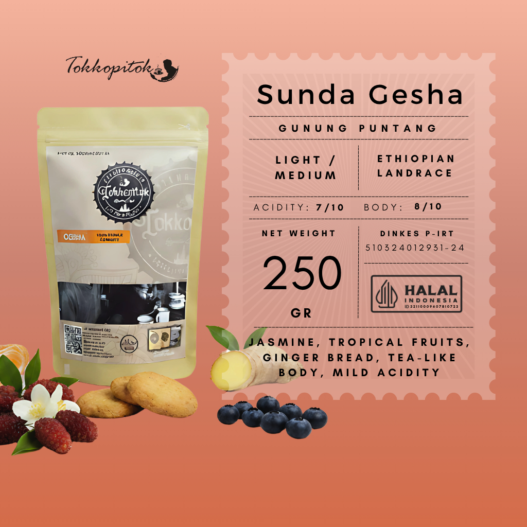 Tokkopitok 250 gram Roasted Bean kopi Arabica Sunda geisha puntang