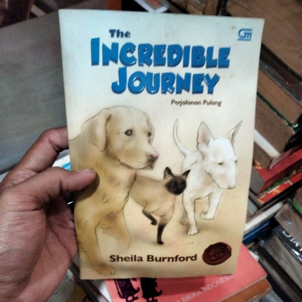 the incredible journey perjalanan pulang