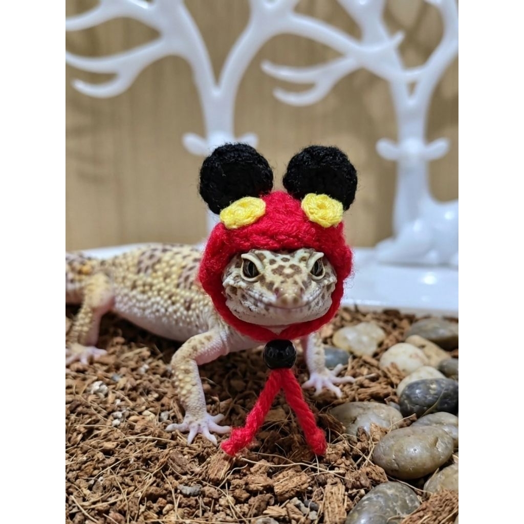 Topi Mickey Gecko / Topi Peliharaan / Topi Hewan