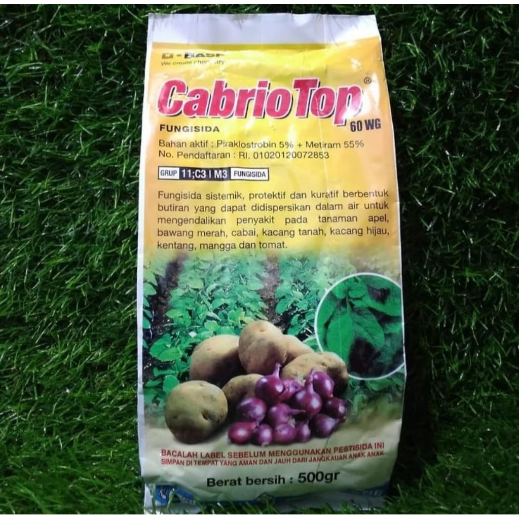 Fungisida 60wg CabrioTop Jbc Bahan Aktif 55% Metiram