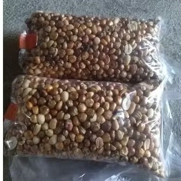 Jagung tayamum goreng pasir 100% olahan pasir oleh sepuh tempo dulu tanpa takut minyak