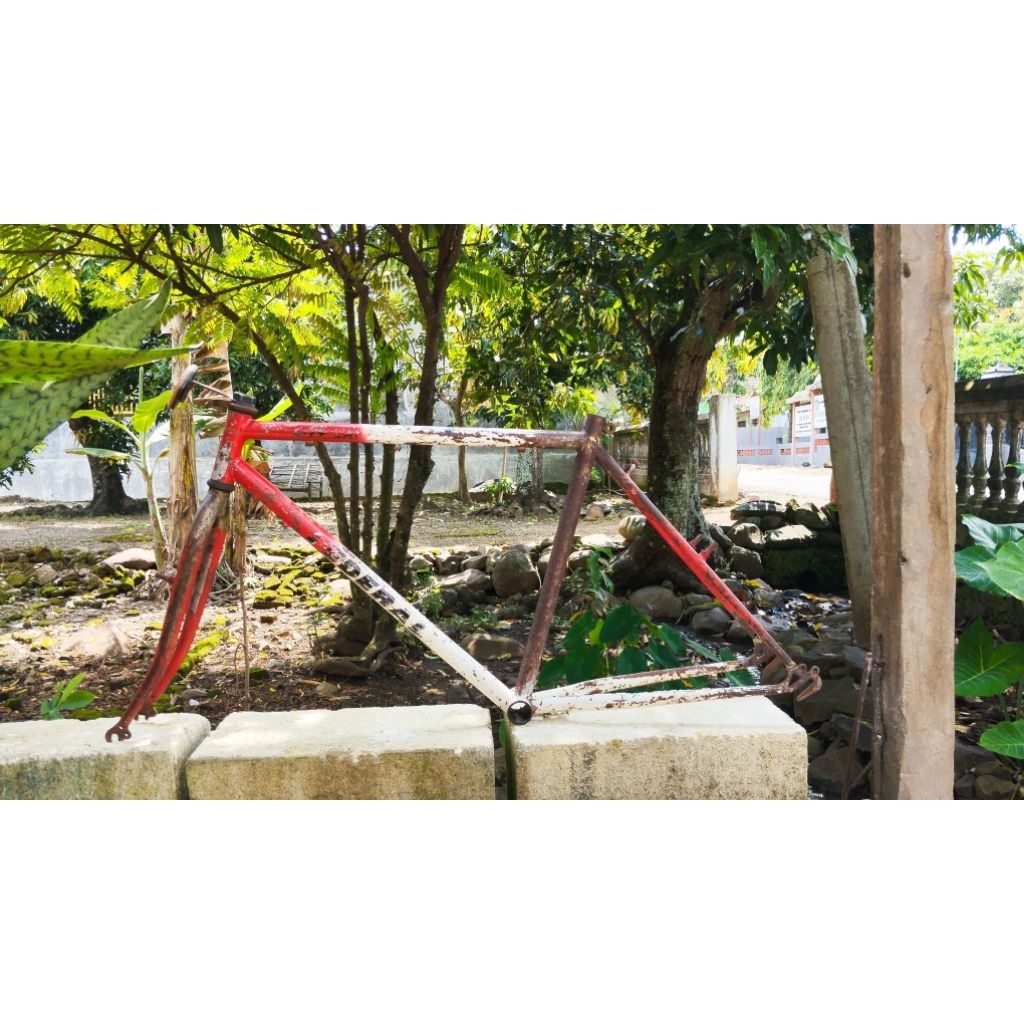 frame federal size 19 rata air