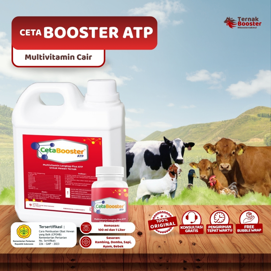 CETA BOOSTER ATP 1 Liter