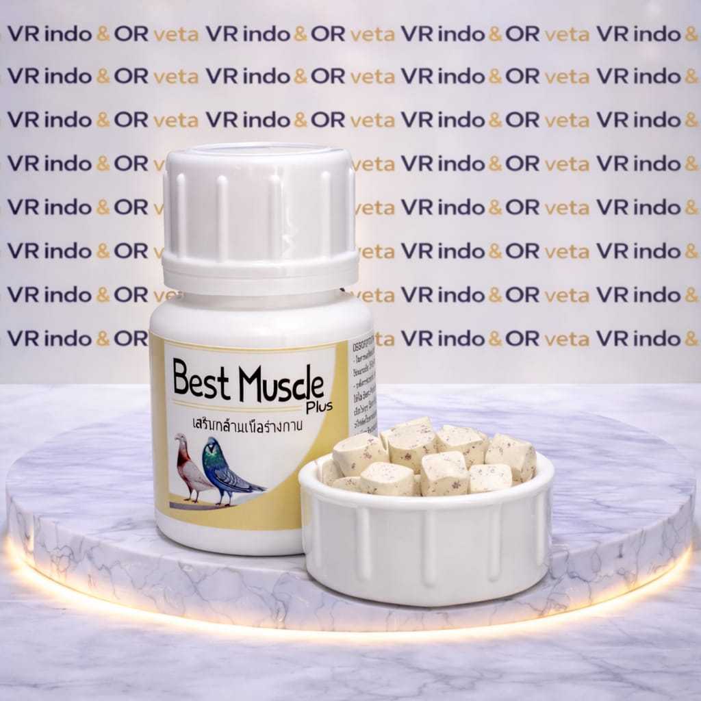 BEST MUSCLE PLUS SUPLEMEN PEMBENTUK OTOT BURUNG MERPATI TERBANG VITAMIN IMPORT