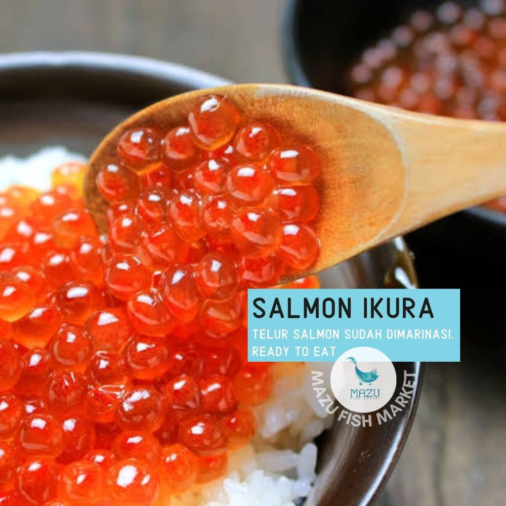 Ikura telur salmon roe