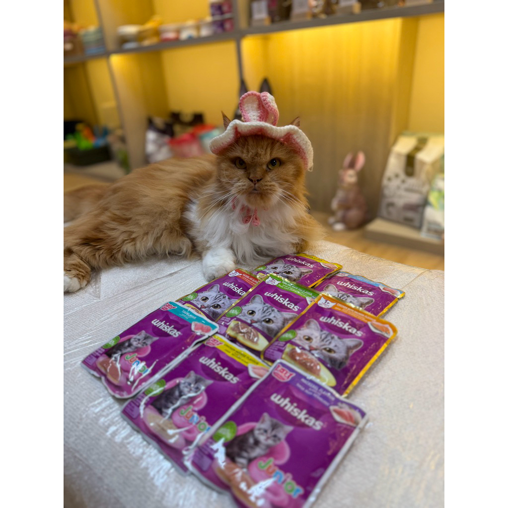Makanan Kucing Basah Whiskas