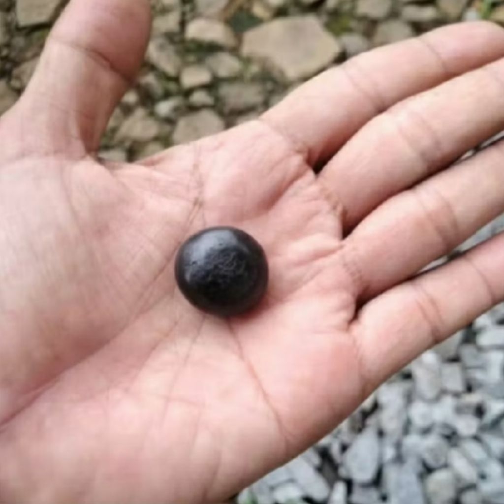 Batu getar multi 2 fungsi, bisa getar cahaya+getar di air (batu bergetar Batu gerak)