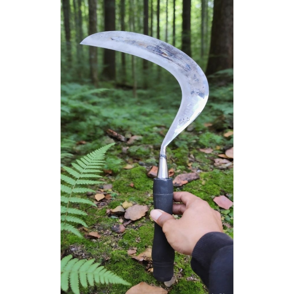 arit rumput baja isen